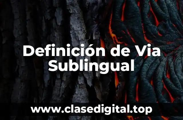 Definición de Via Sublingual