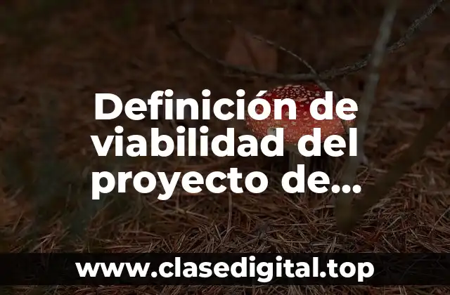 Definición de viabilidad del proyecto de investigación