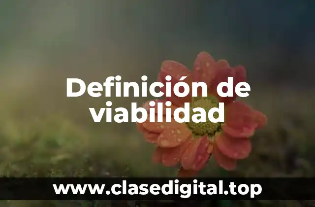 Definición de viabilidad