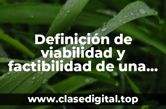 Definición de viabilidad y factibilidad de una investigación