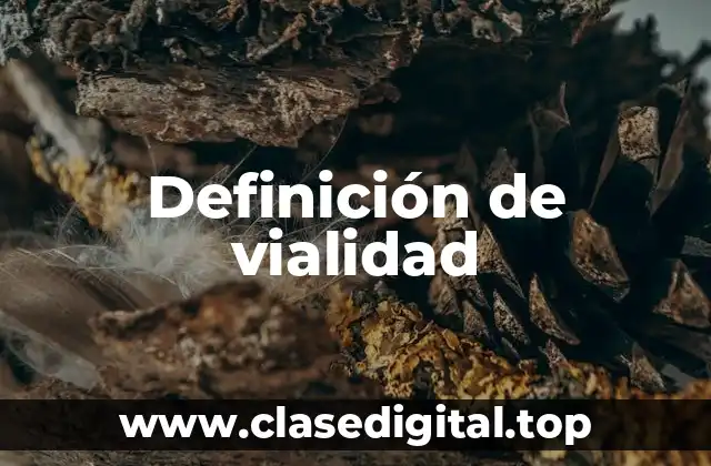 Ejemplos de vialidad