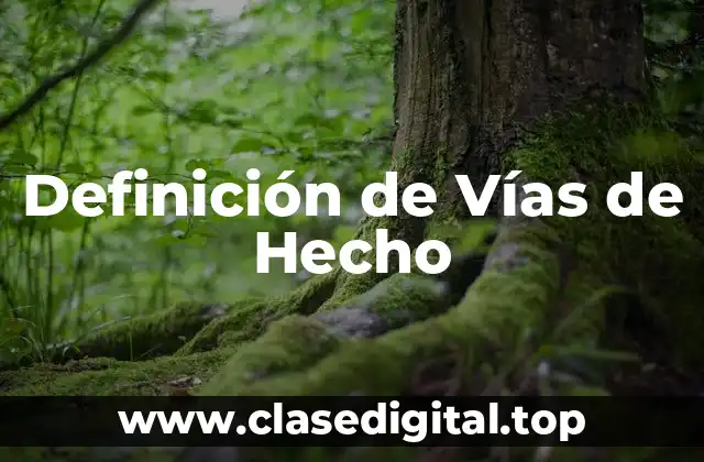 Definición de Vías de Hecho