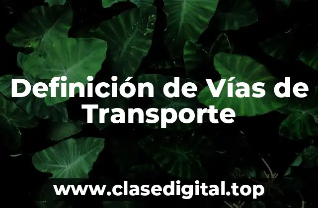 Definición de Vías de Transporte