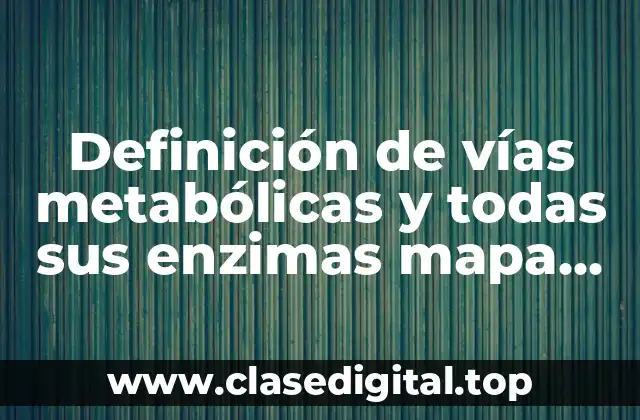 Definición de vías metabólicas y todas sus enzimas mapa conceptual