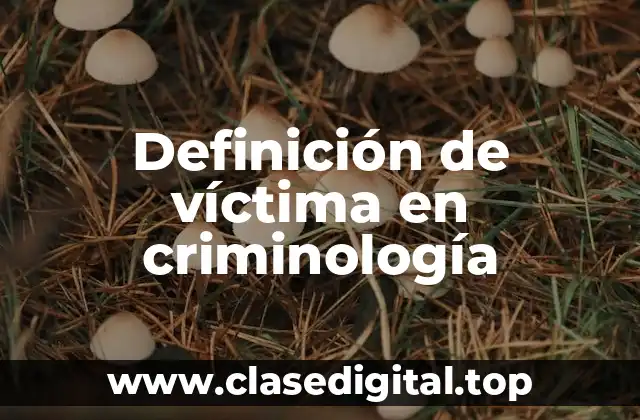 Definición técnica de víctima