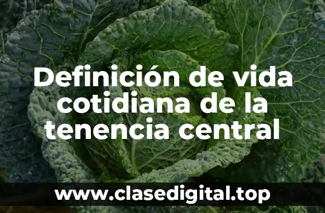 Definición de vida cotidiana de la tenencia central