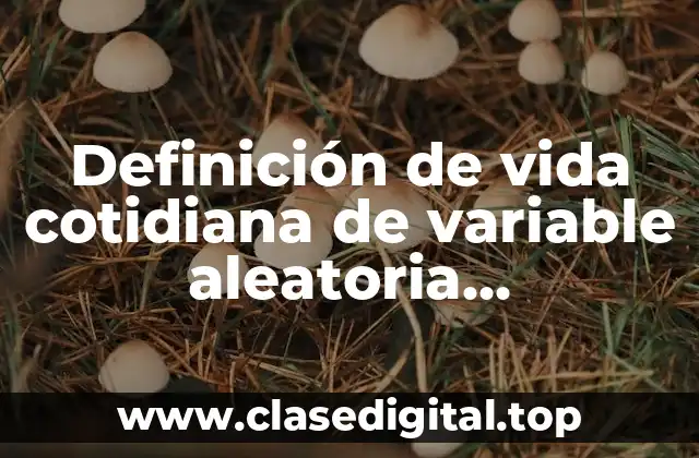 Definición de vida cotidiana de variable aleatoria bidimensional
