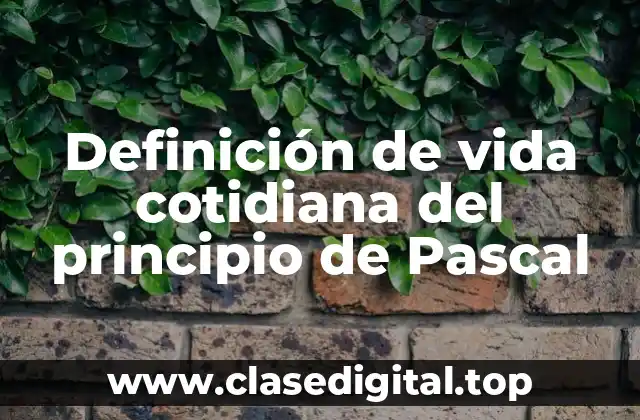 Definición de vida cotidiana del principio de Pascal