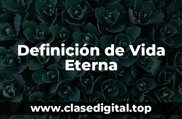 Definición de Vida Eterna
