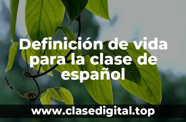 Ejemplos de vida para la clase de español