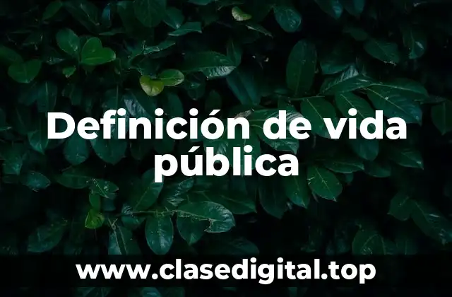 Definición de vida pública