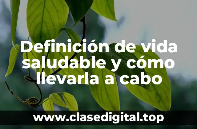 Definición de vida saludable y cómo llevarla a cabo