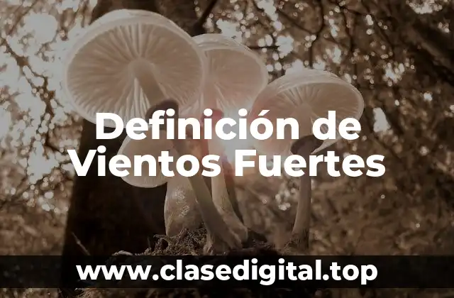 Definición de Vientos Fuertes