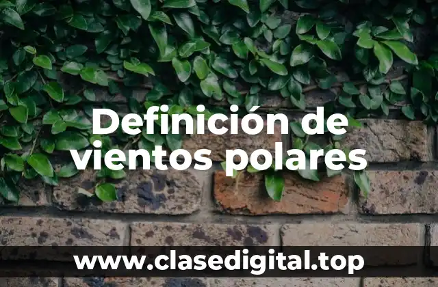 Definición técnica de vientos polares