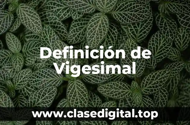 Definición de Vigesimal
