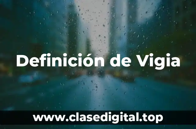 Definición de Vigia
