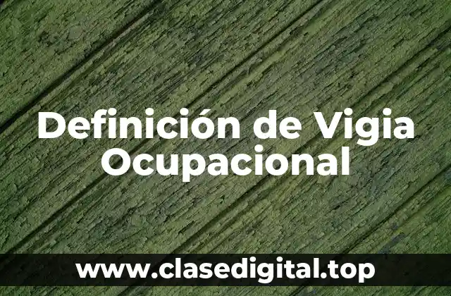 Definición técnica de Vigia Ocupacional