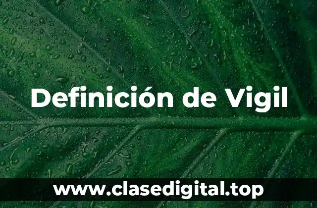 Definición técnica de Vigil