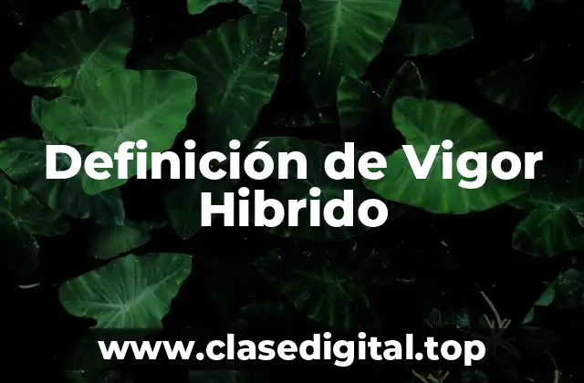 Definición Técnica de Vigor Hibrido