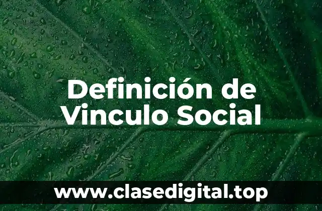 Definición de Vinculo Social
