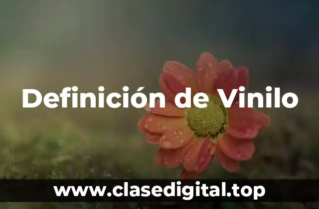 Definición de Vinilo