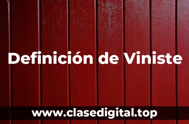 Definición de Viniste