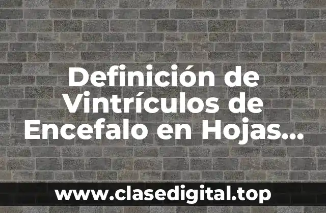 Definición técnica de Vintrículos de Encefalo en Hojas Blancas
