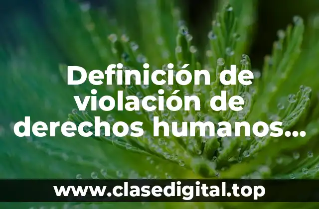 Definición de violación de derechos humanos por adolescentes