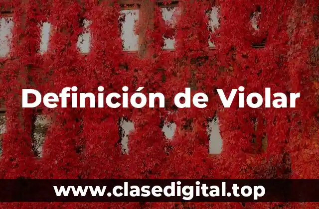 Definición de Violar