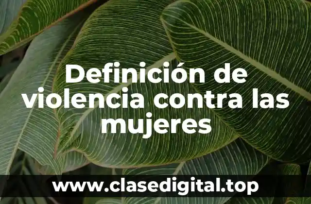 Definición de violencia contra las mujeres