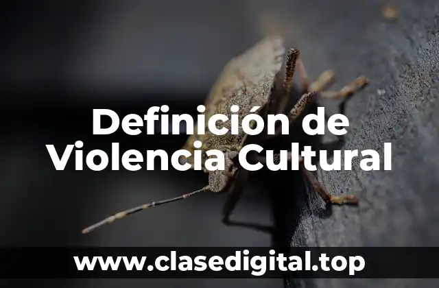 Definición de Violencia Cultural