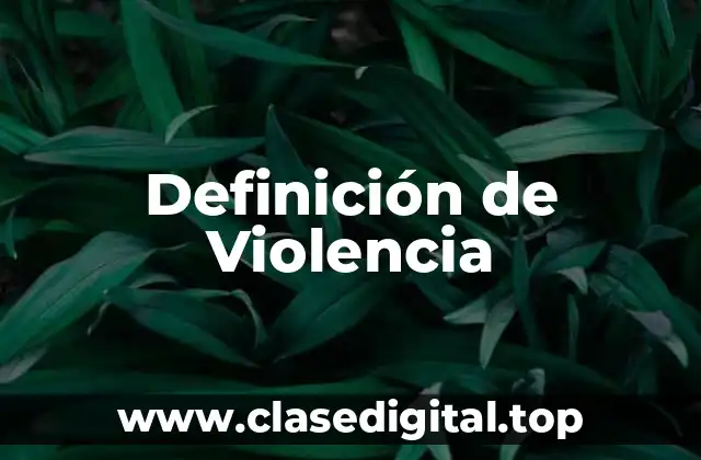 Definición de Violencia