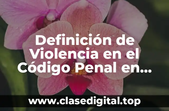 Definición de Violencia en el Código Penal en México