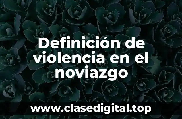 Definición técnica de violencia en el noviazgo