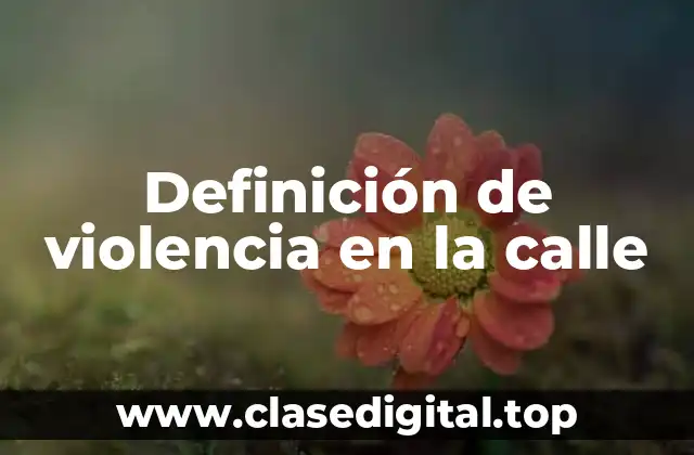 Ejemplos de violencia en la calle