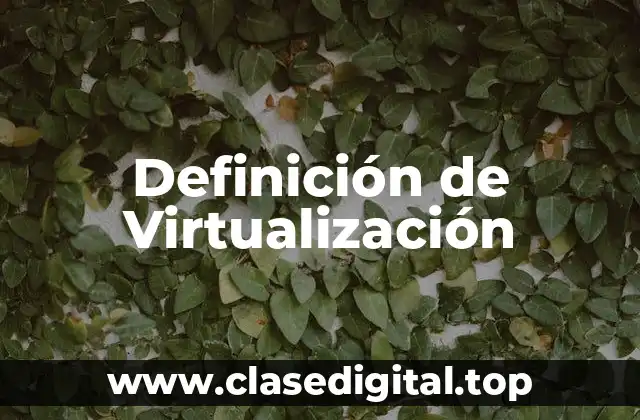 Definición de Virtualización