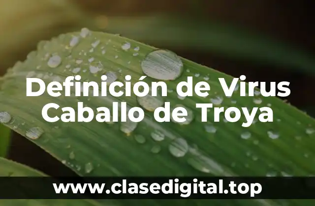 Definición de Virus Caballo de Troya