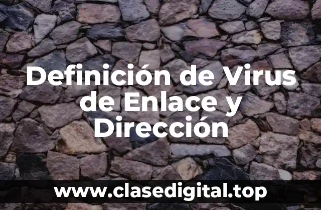 Definición de Virus de Enlace y Dirección