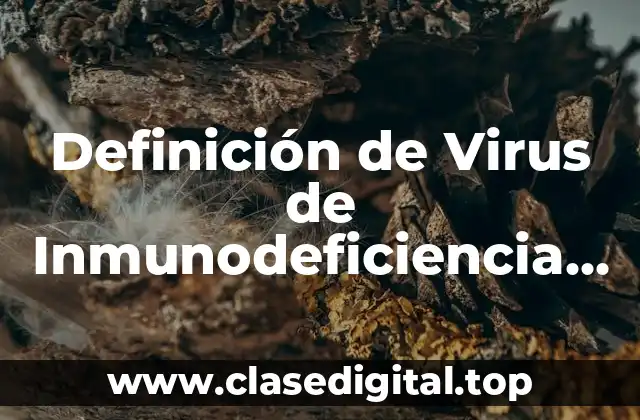 Definición de Virus de Inmunodeficiencia Humana (VIH) y Tratamiento