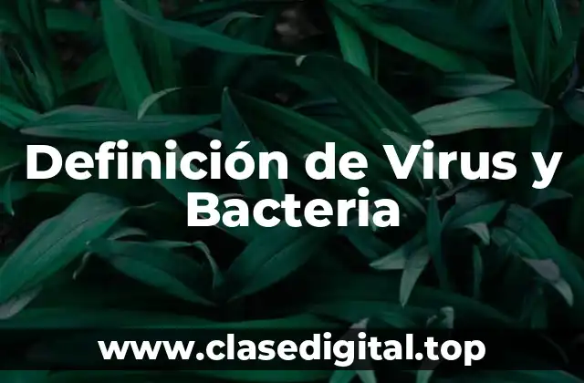 Definición de Virus y Bacteria