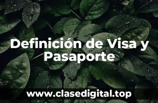 Definición de Visa y Pasaporte