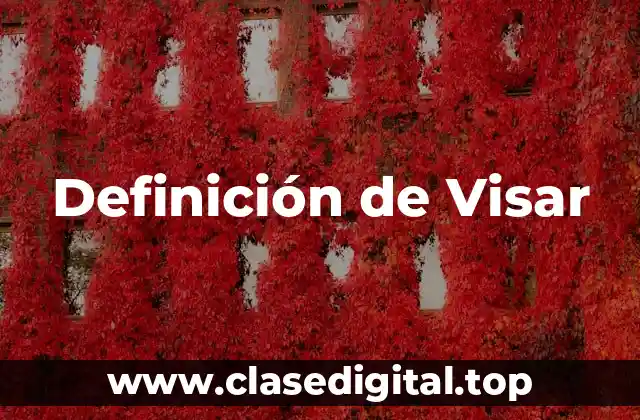 Definición de Visar