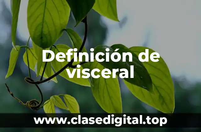 Definición técnica de visceral