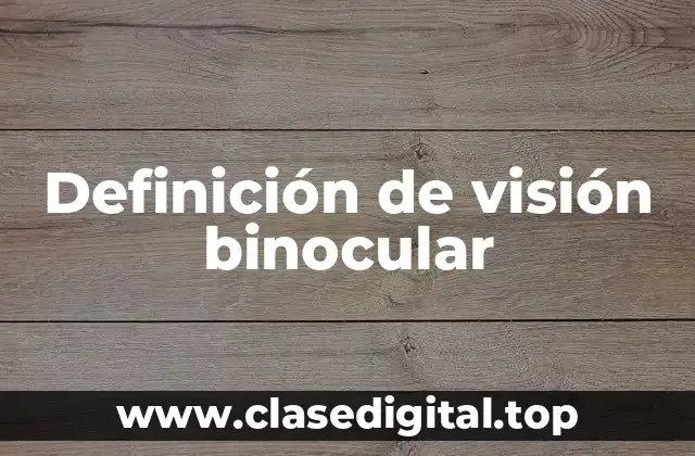 Definición de visión binocular