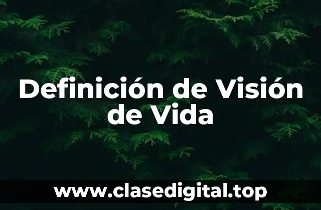 Definición de Visión de Vida