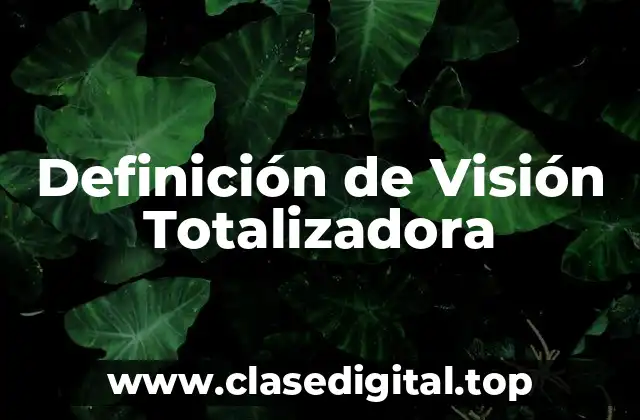 Definición Técnica de Visión Totalizadora