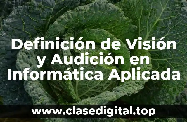 Definición de Visión y Audición en Informática Aplicada