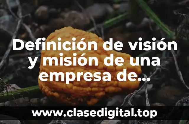 Definición de visión y misión de una empresa de alimentos
