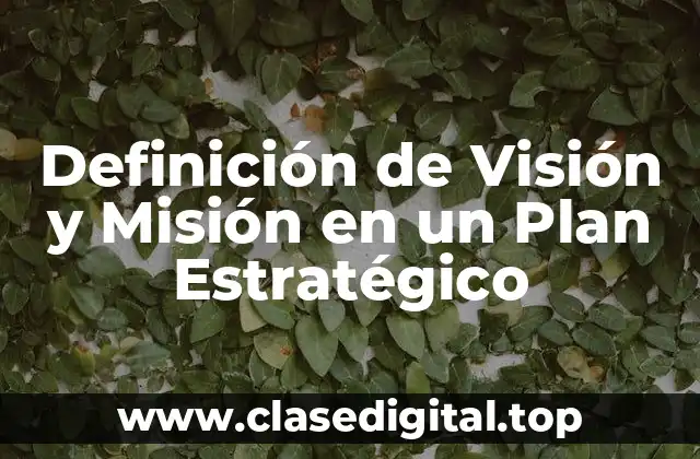 Definición técnica de Visión y Misión