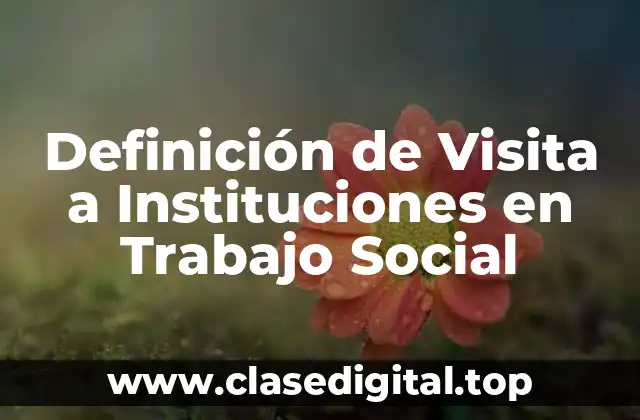 Definición de Visita a Instituciones en Trabajo Social